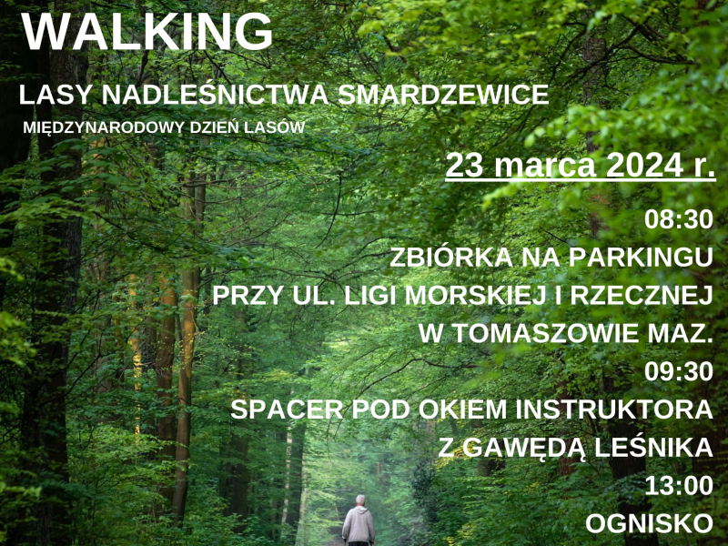 Na zdjęciu plakat Rajdu Patyczaków Nordic Walking. Na plakacie postać mężczyzny z kijkami spacerującego przez las