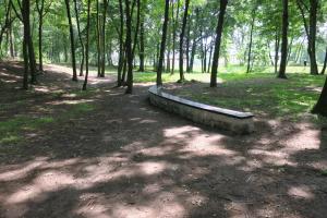 Park „Michałówek” zrewitalizowany 