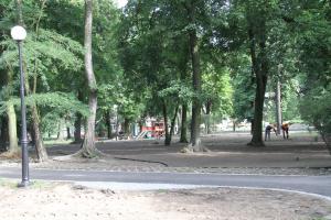 Trwają prace w Parku Rodego – umowa na dofinansowanie podpisana 